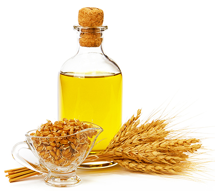 wholesale cold pressed organic wheat germ oil suppliers in united states